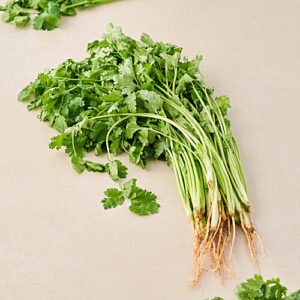 40256888_2-fresho-coriander-leaves-with-roots-enhances-flavour-of-the-dishes.jpg